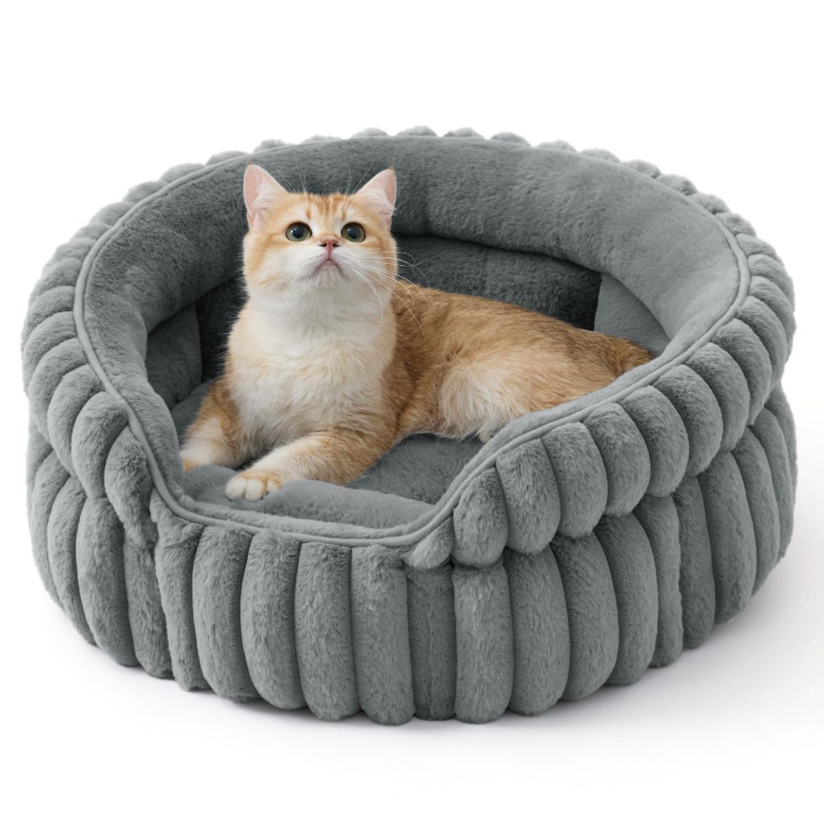 Pet Beds