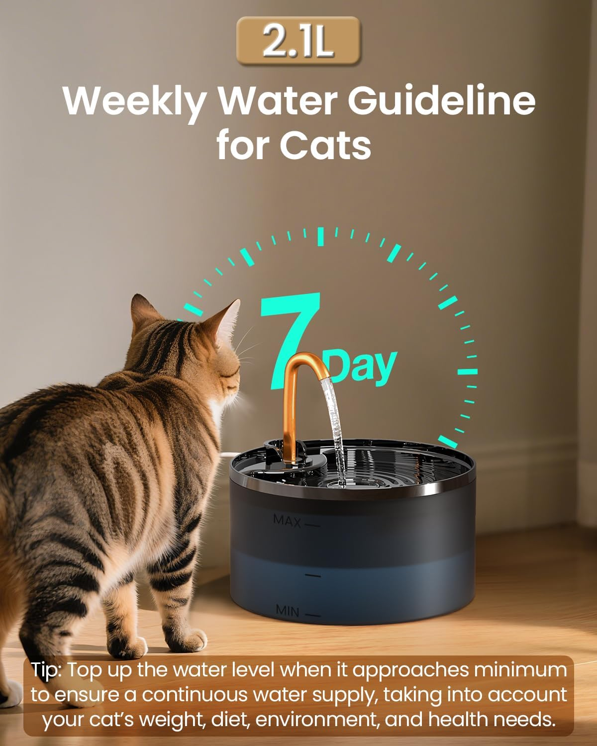 Water Fountain, 2.1L Cat Fountains