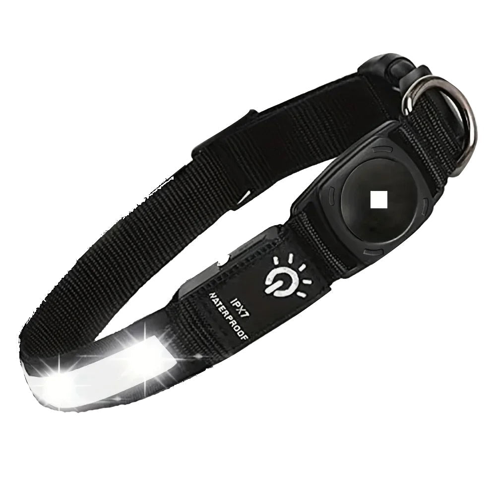 Waterproof LED Dog Collar - Black