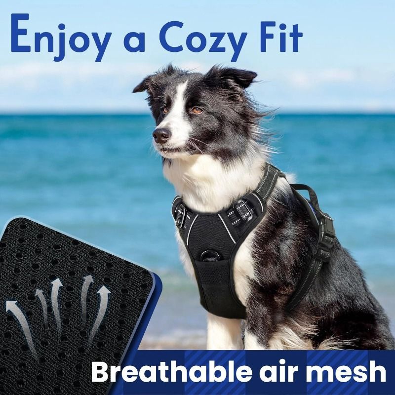 No-Pull Dog Harness | Front & Back Clip, Breathable Mesh, Neck 56–82cm, Chest 78–96cm