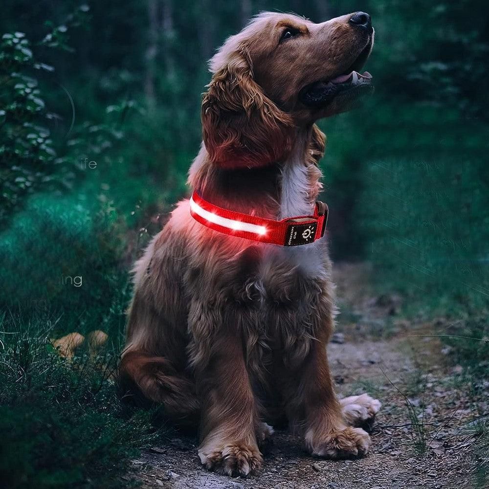 Luminous LED Pet Dog Collar Light-up USB Rechargeable Dog Collar Red - S