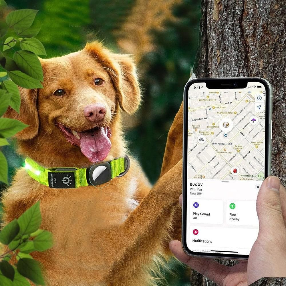 Luminous LED Pet Dog Collar Light-up USB Rechargeable Dog Collar Green - L