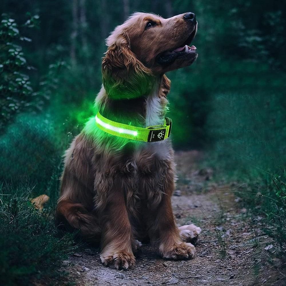 Luminous LED Pet Dog Collar Light-up USB Rechargeable Dog Collar Green - L