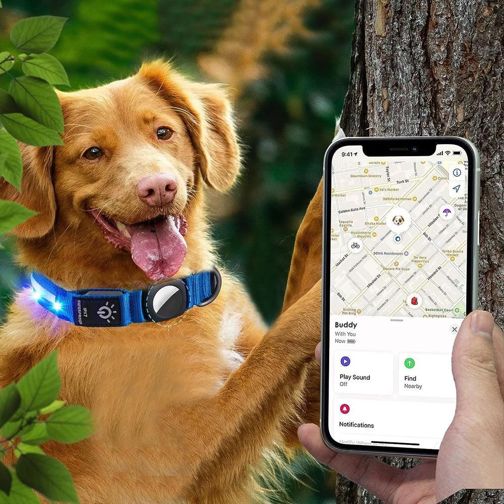 Luminous LED Pet Dog Collar Light-up USB Rechargeable Dog Collar Blue - S