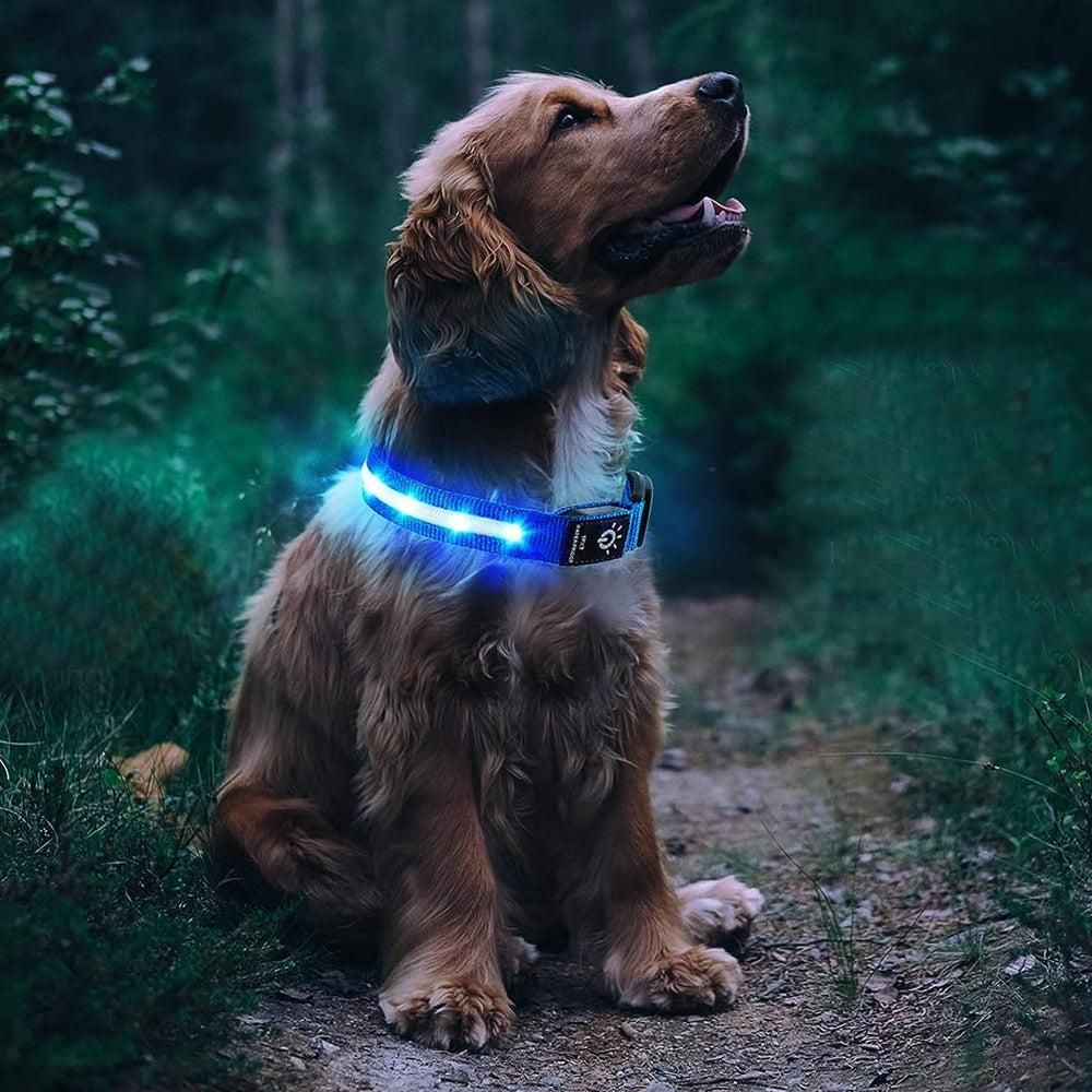 Luminous LED Pet Dog Collar Light-up USB Rechargeable Dog Collar Blue - L