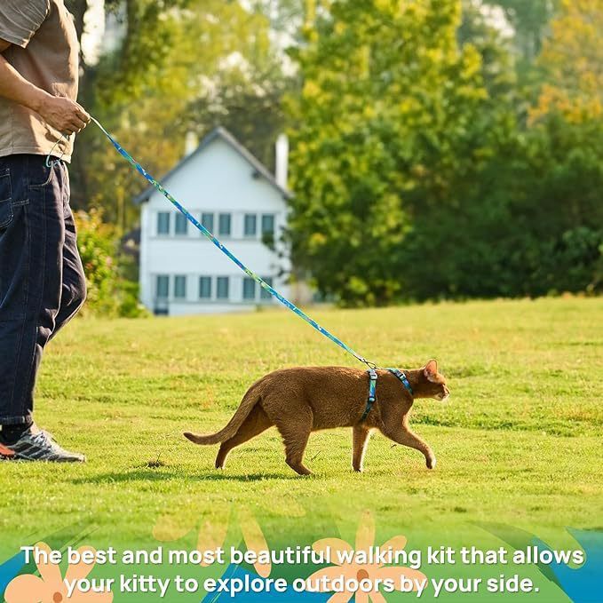 Adjustable Anti-Escape Cat Harness and Leash Set – Soft, Breathable, and Lightweight for Safe Outdoor Adventures with Your Feline Friend (Black)