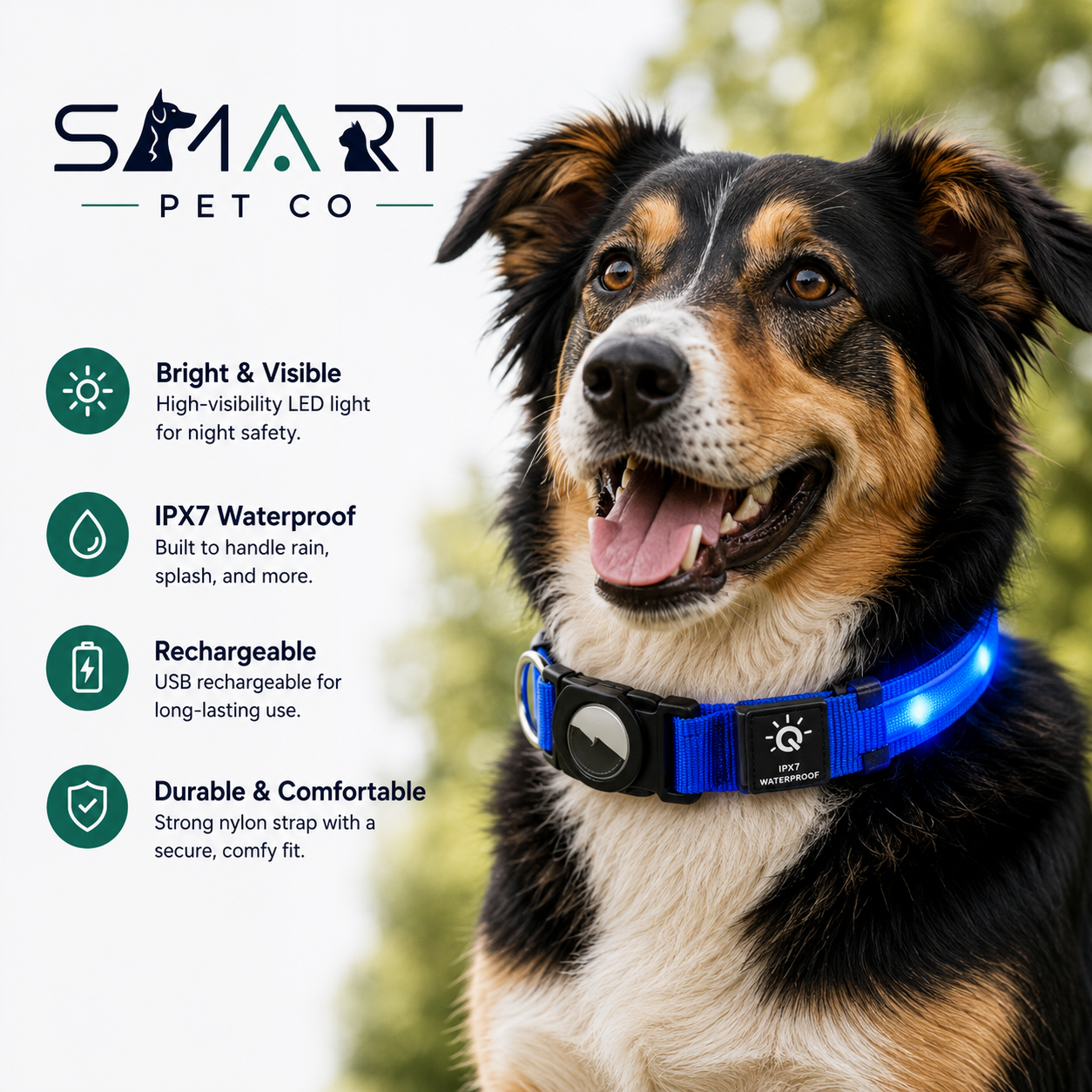 Waterproof LED Dog Collar with Airtag Pocket