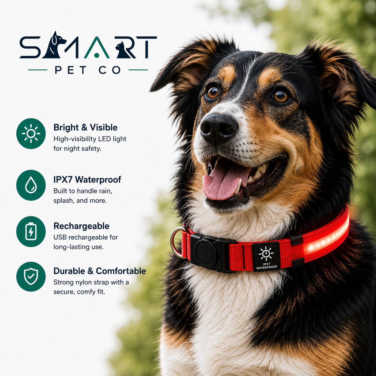 Waterproof LED Dog Collar - Red