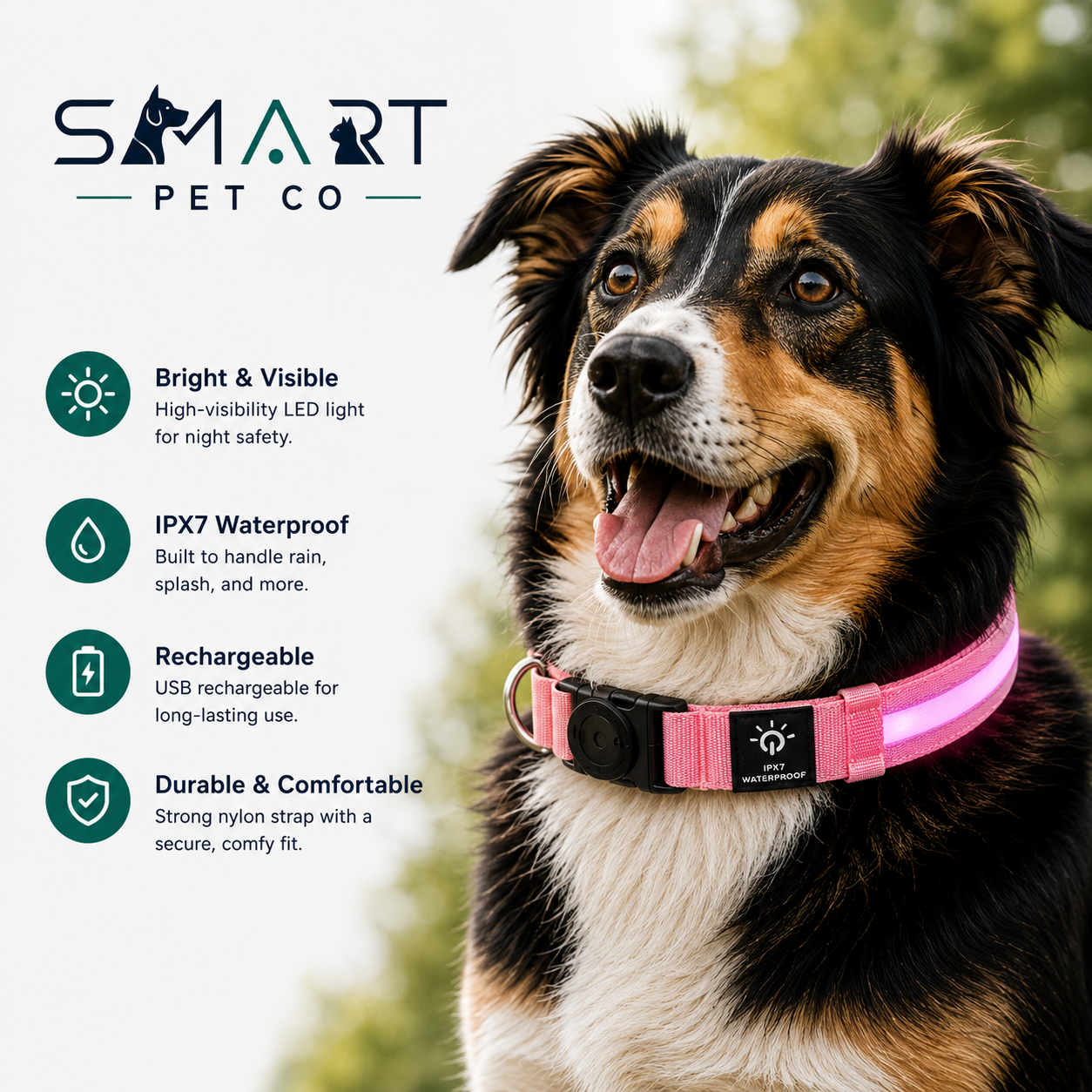 Waterproof LED Dog Collar - Pink