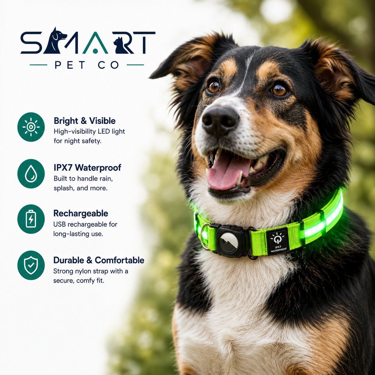 Waterproof LED Dog Collar - Green