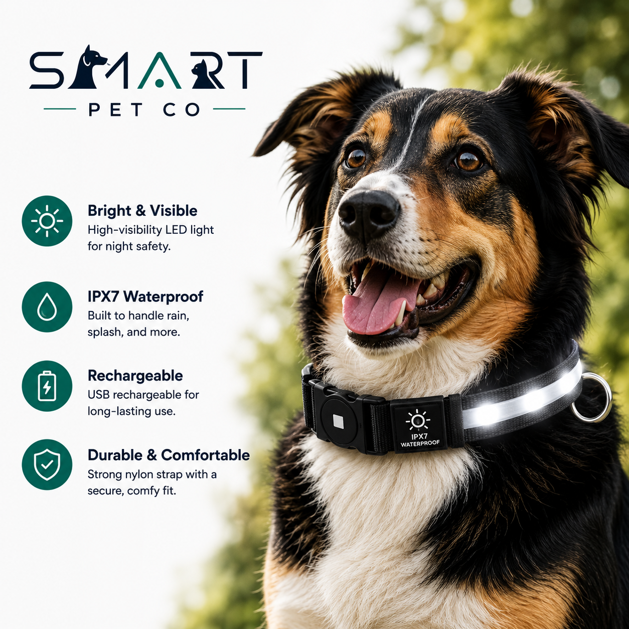 Waterproof LED Dog Collar - Black